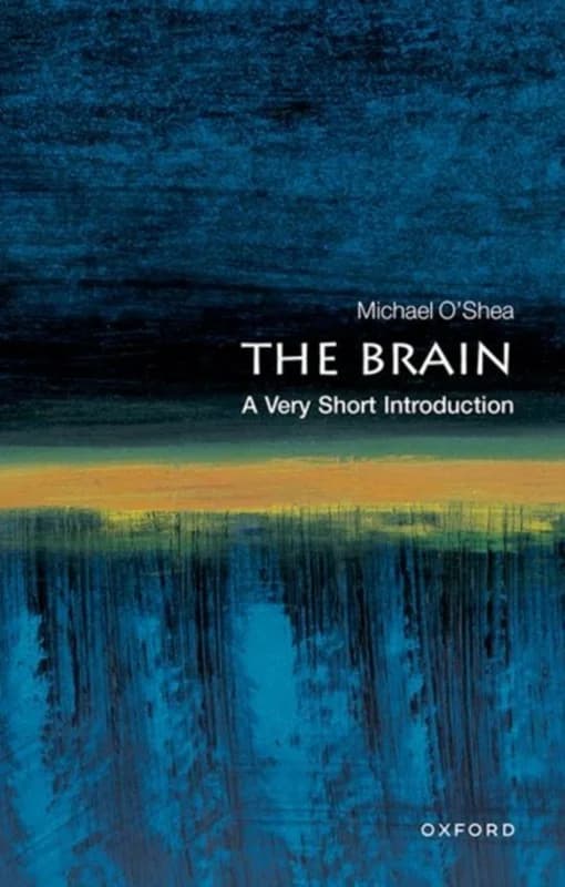 The Brain (4, 2005) | Michael O'Shea,Michael (Director O'Shea