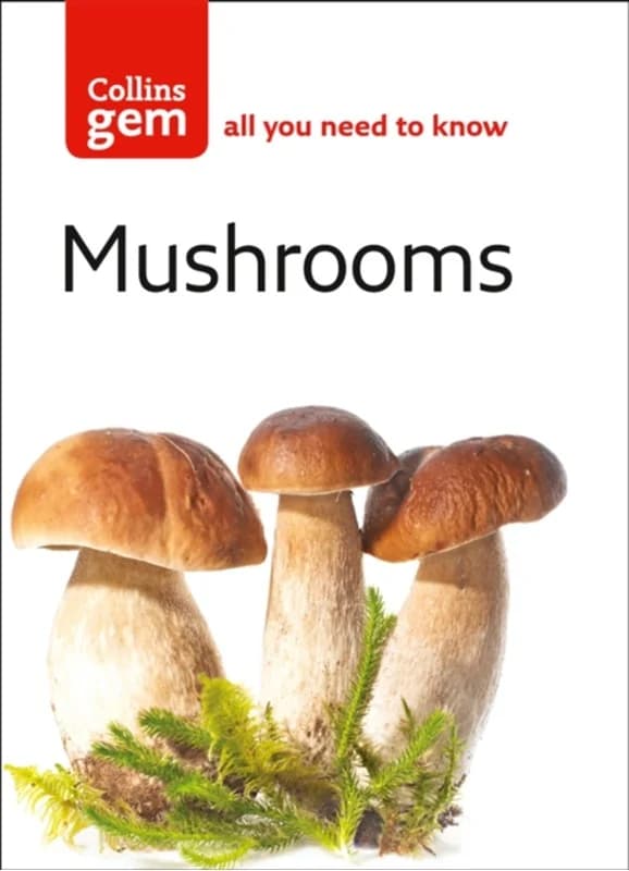 Mushrooms (4, 2004) | Patrick Harding